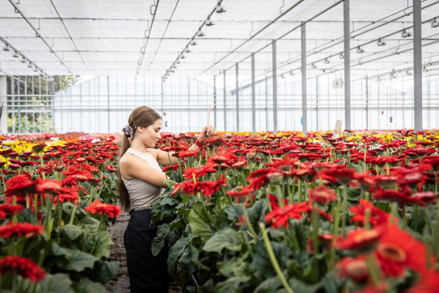 Werken bij HilverdaFlorist