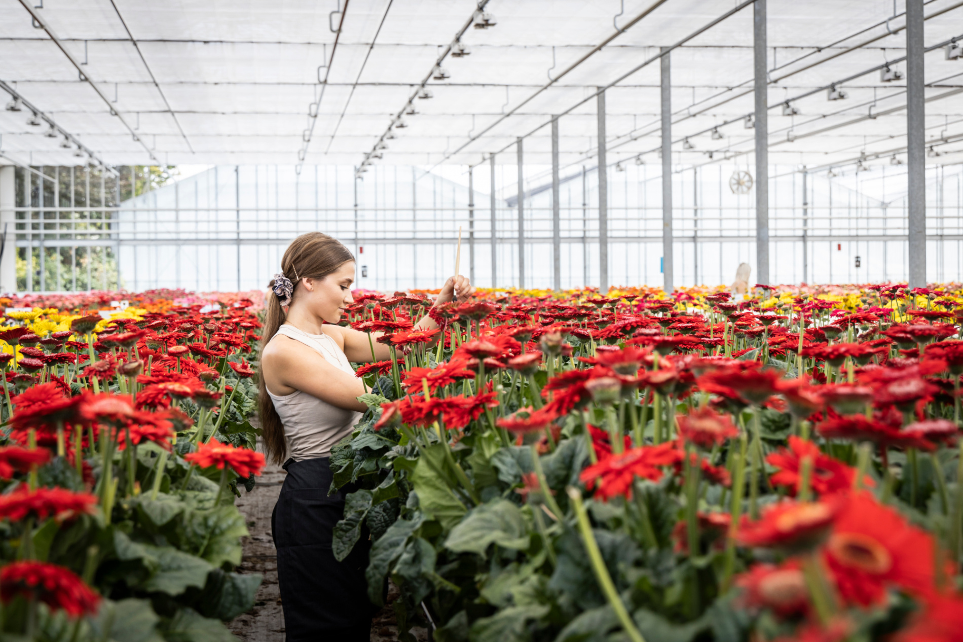 Werken bij HilverdaFlorist